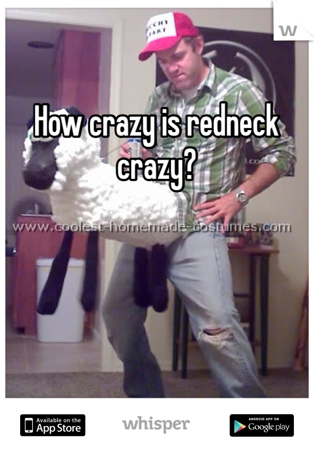 How crazy is redneck crazy?