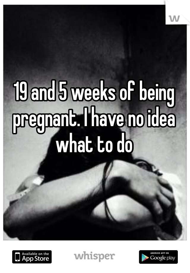 19 and 5 weeks of being pregnant. I have no idea what to do 