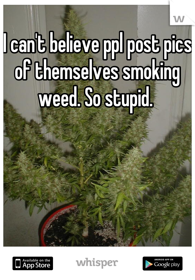 I can't believe ppl post pics of themselves smoking weed. So stupid. 