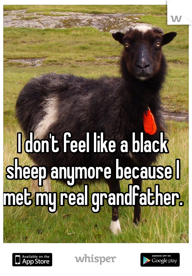 I don't feel like a black sheep anymore because I met my real grandfather.