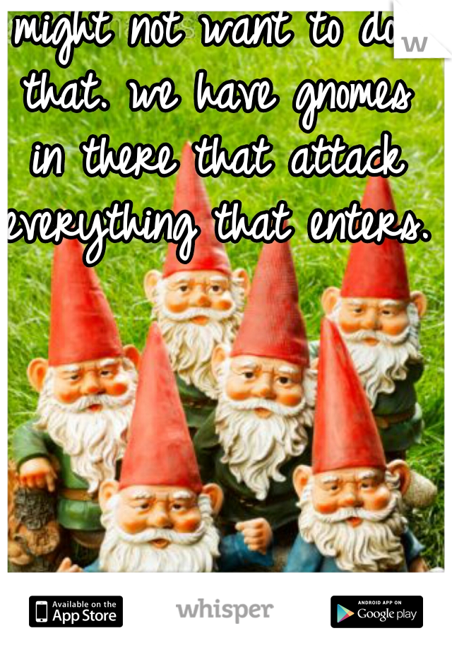 might not want to do that. we have gnomes in there that attack everything that enters. 