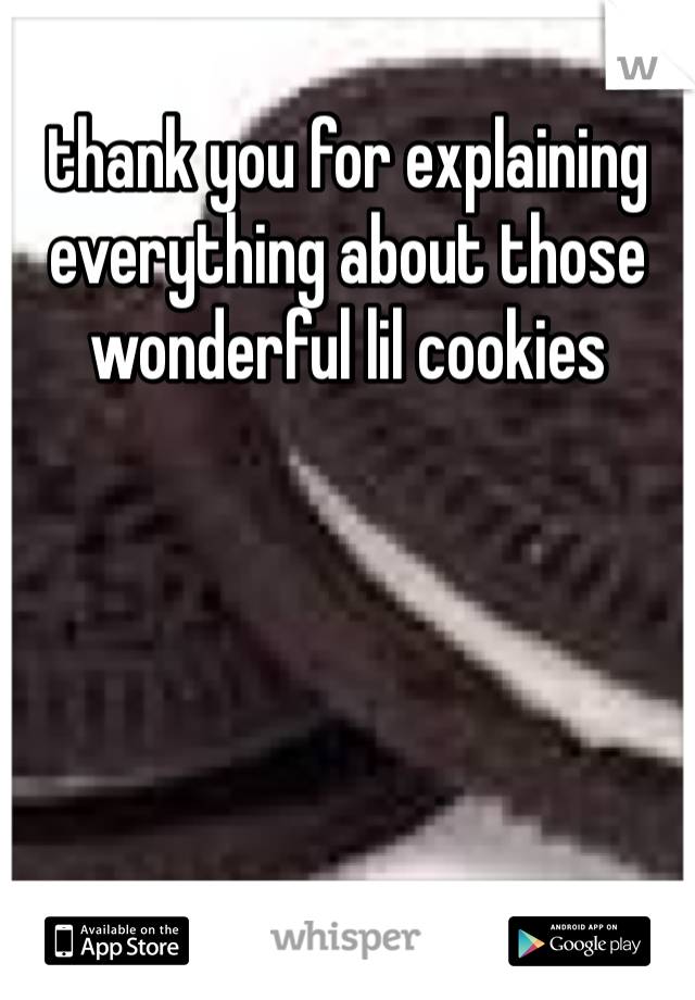 thank you for explaining everything about those wonderful lil cookies