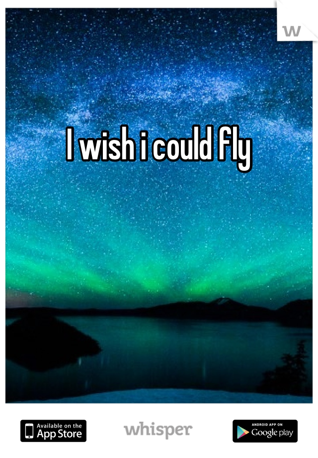 I wish i could fly 