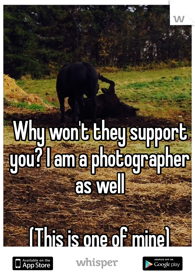 Why won't they support you? I am a photographer as well   

(This is one of mine)