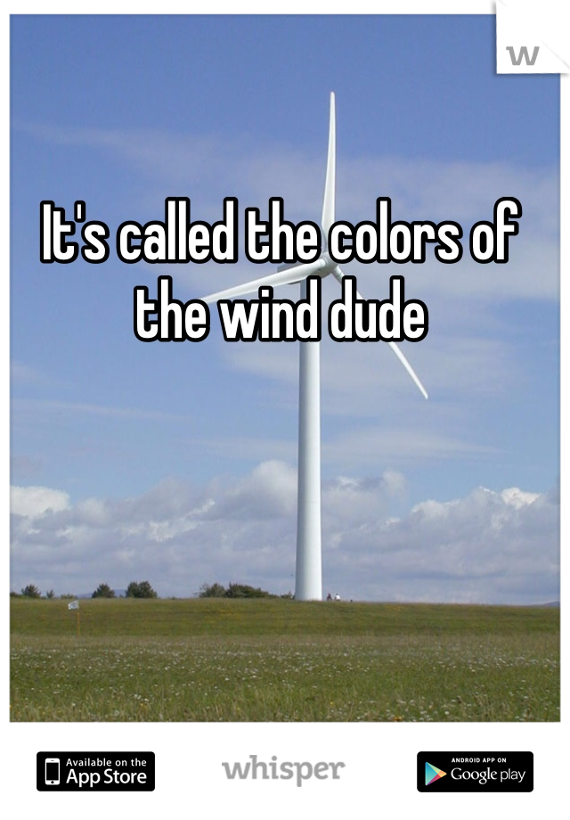It's called the colors of the wind dude 