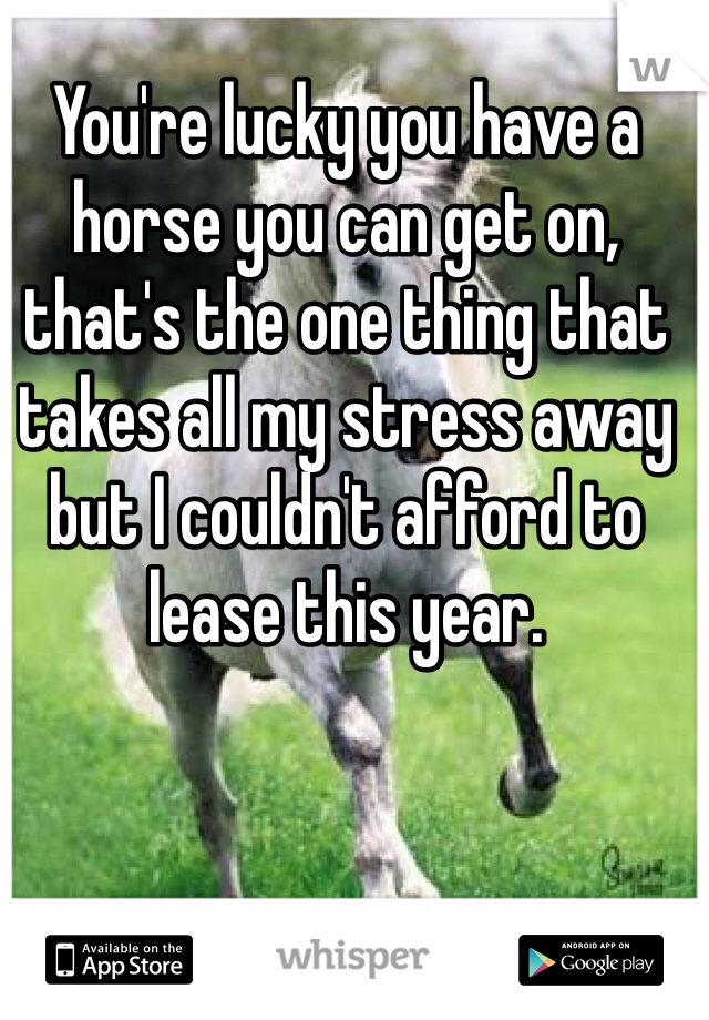 You're lucky you have a horse you can get on, that's the one thing that takes all my stress away but I couldn't afford to lease this year.