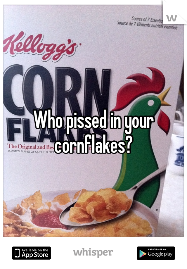 Who Pissed in Your Cornflakes Origin 
