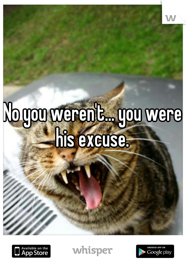 No you weren't... you were his excuse. 