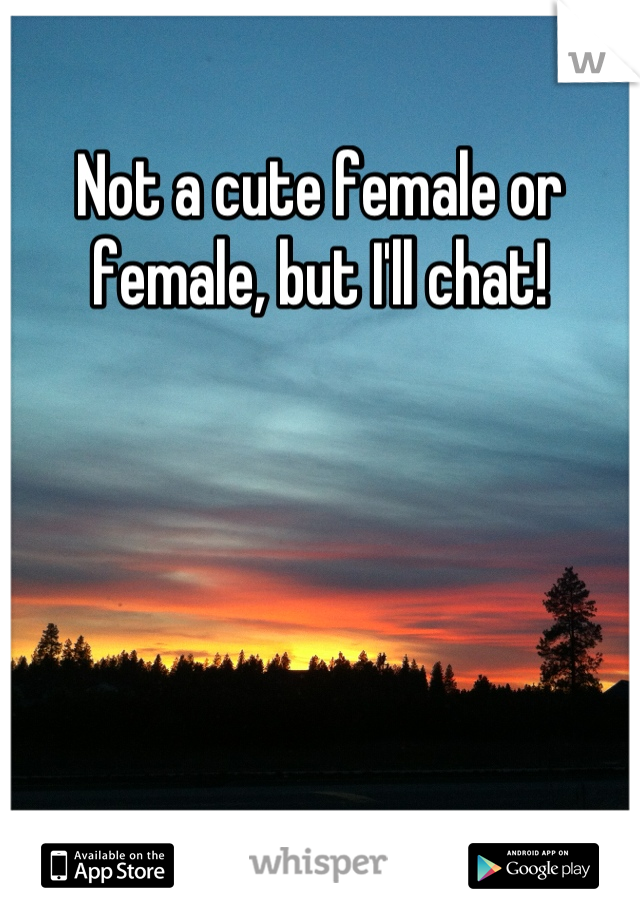 Not a cute female or female, but I'll chat!