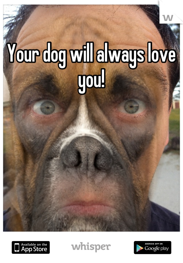 Your dog will always love you!