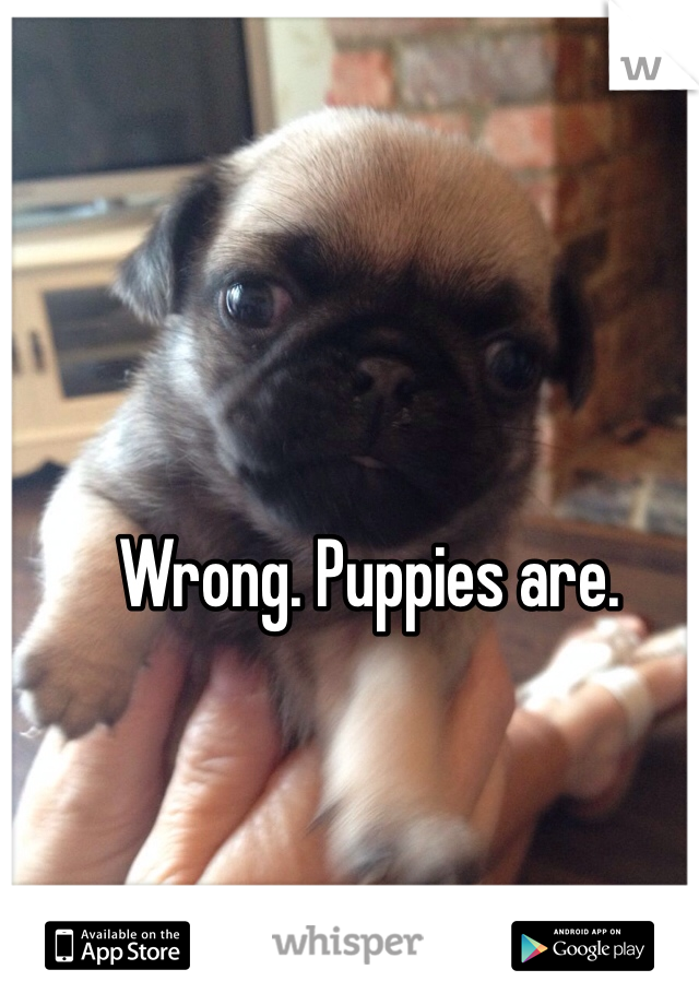 Wrong. Puppies are.