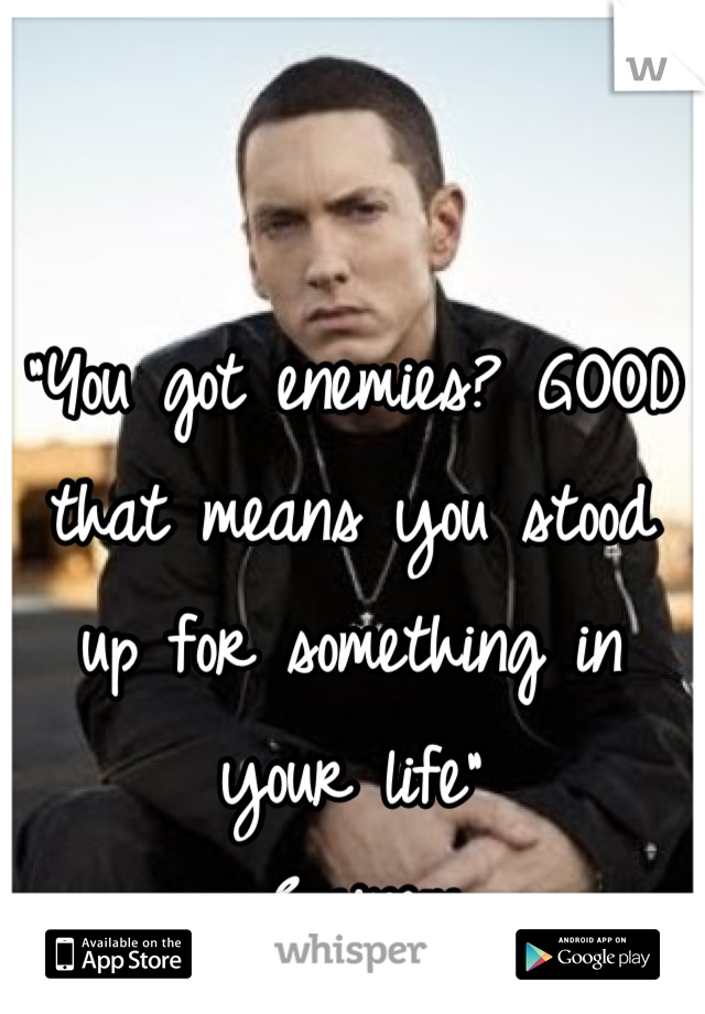 "You got enemies? GOOD that means you stood up for something in your life"
- Eminem 