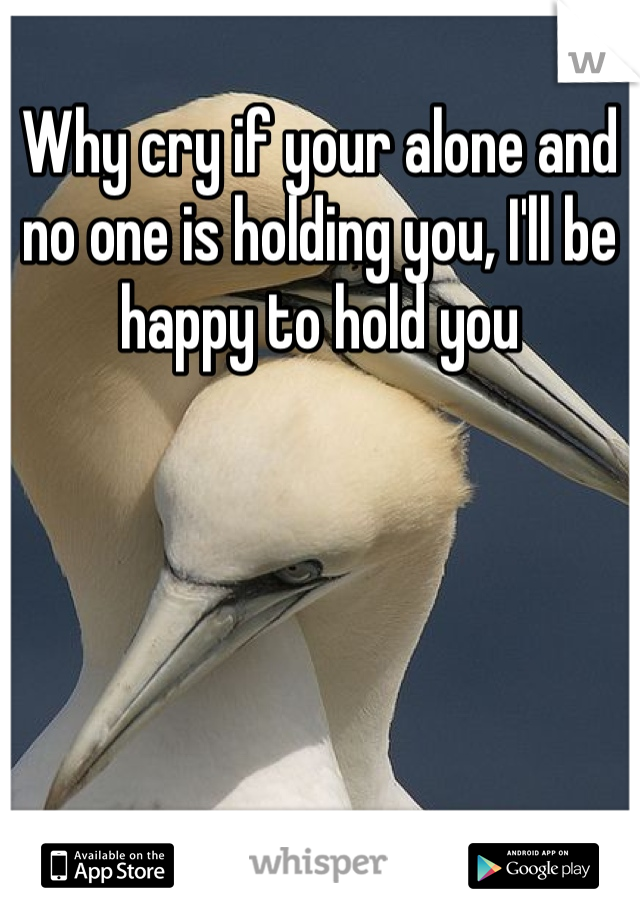 Why cry if your alone and no one is holding you, I'll be happy to hold you 