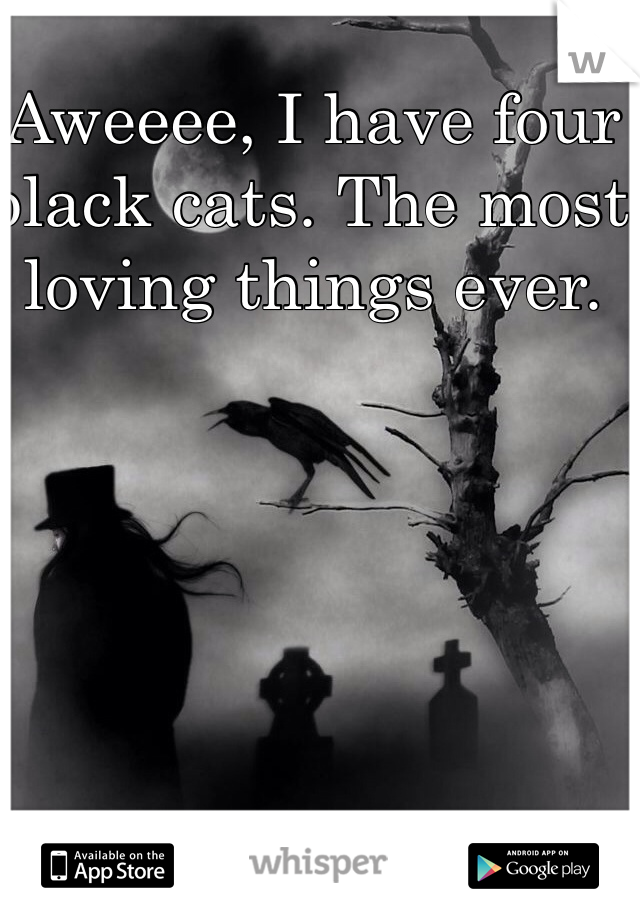 Aweeee, I have four black cats. The most loving things ever.