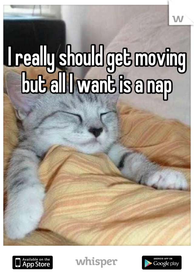 I really should get moving but all I want is a nap