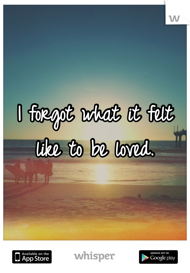 I forgot what it felt like to be loved.