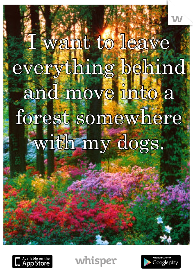I want to leave everything behind and move into a forest somewhere with my dogs. 