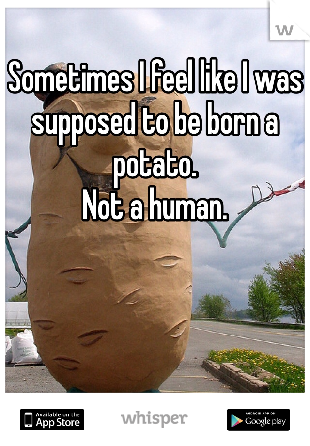 Sometimes I feel like I was supposed to be born a potato.
Not a human. 