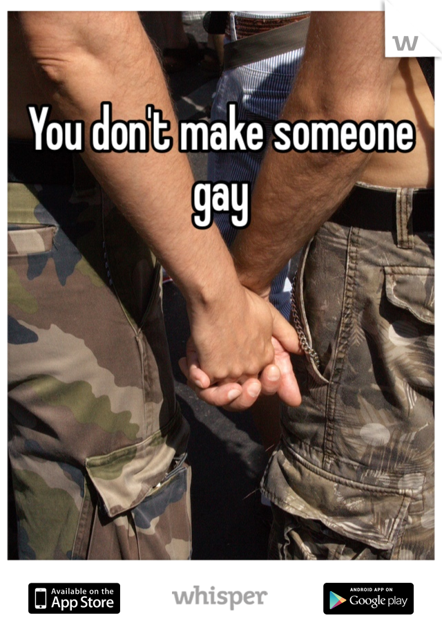 You don't make someone gay 