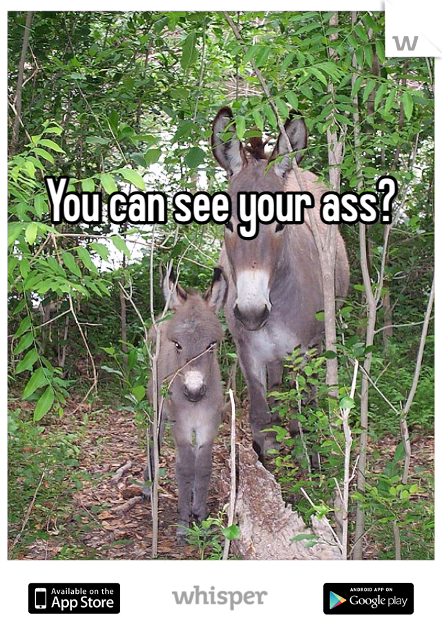You can see your ass?