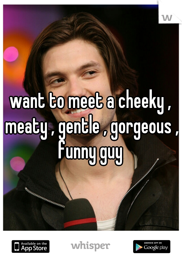 want to meet a cheeky , meaty , gentle , gorgeous , funny guy 