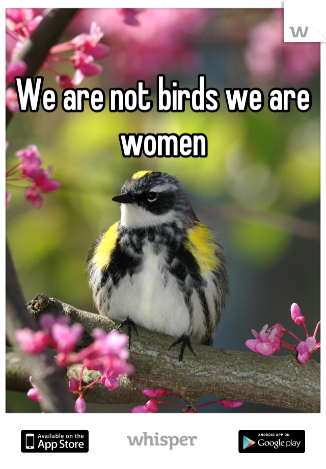 We are not birds we are women