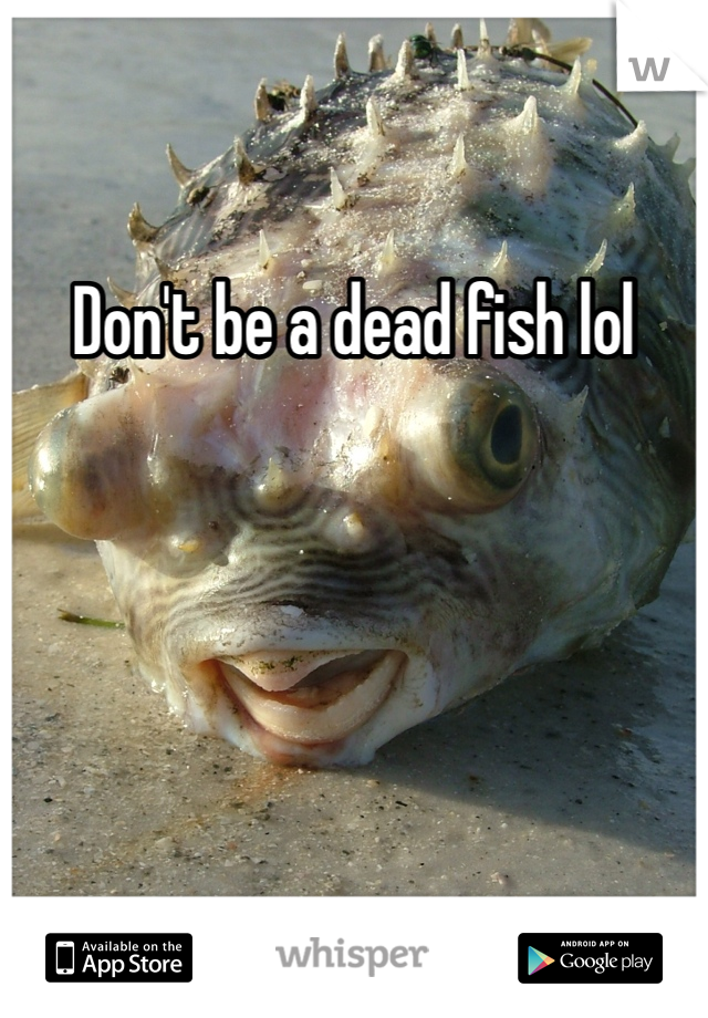 Don't be a dead fish lol
