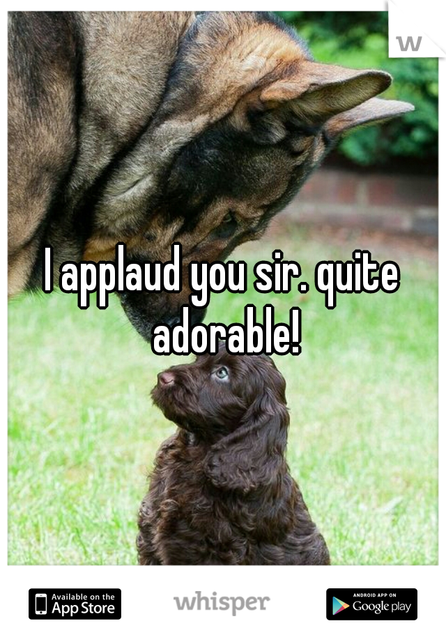 I applaud you sir. quite adorable!