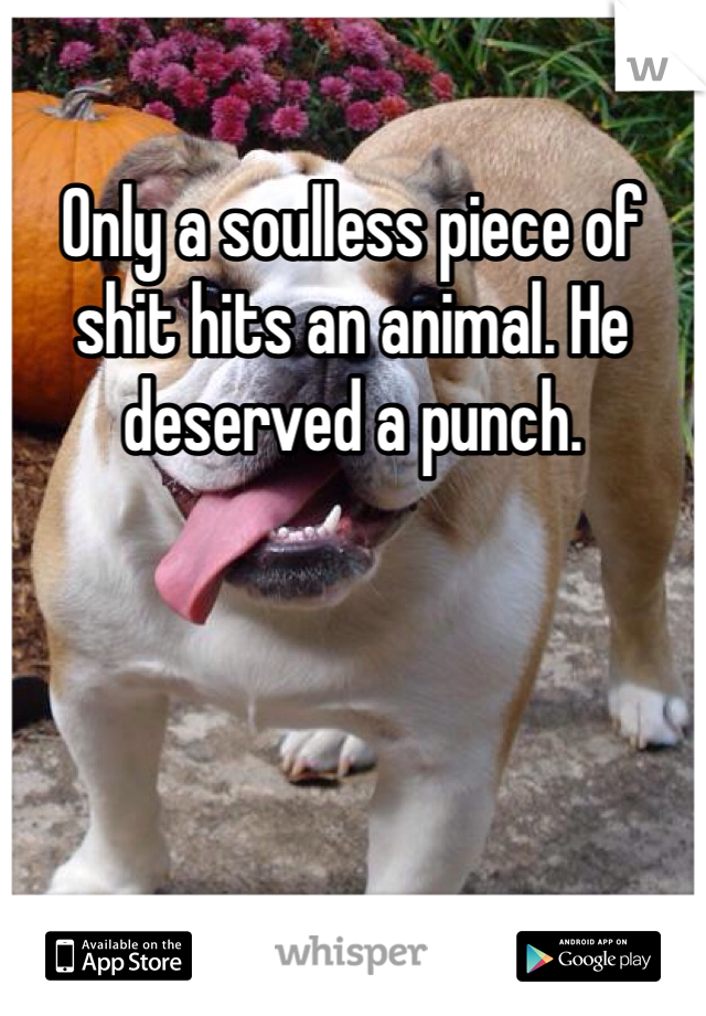 Only a soulless piece of shit hits an animal. He deserved a punch.