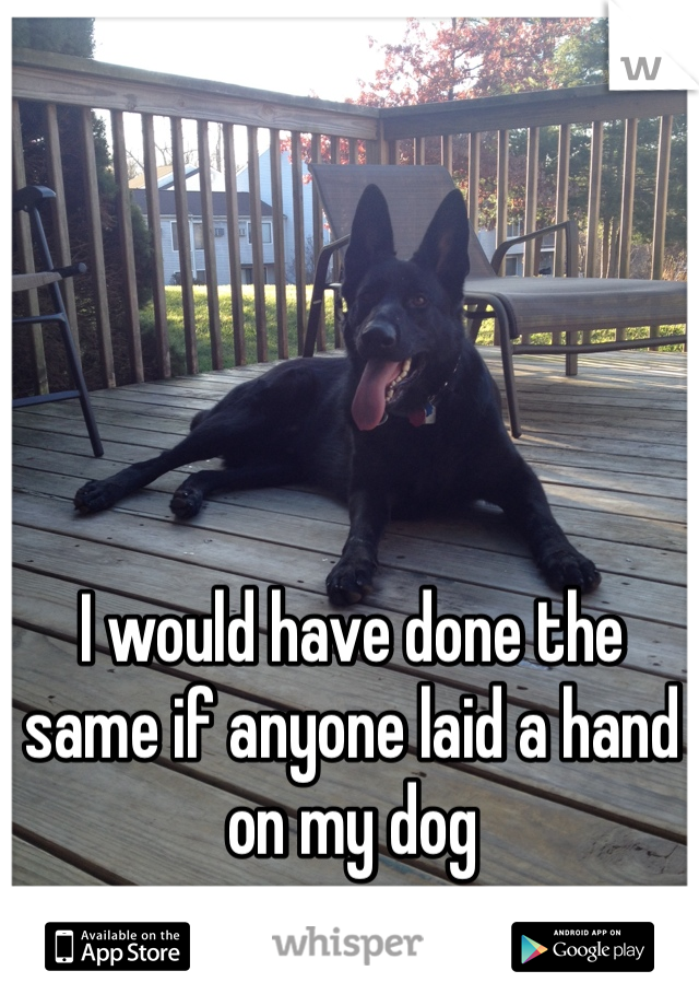 I would have done the same if anyone laid a hand on my dog