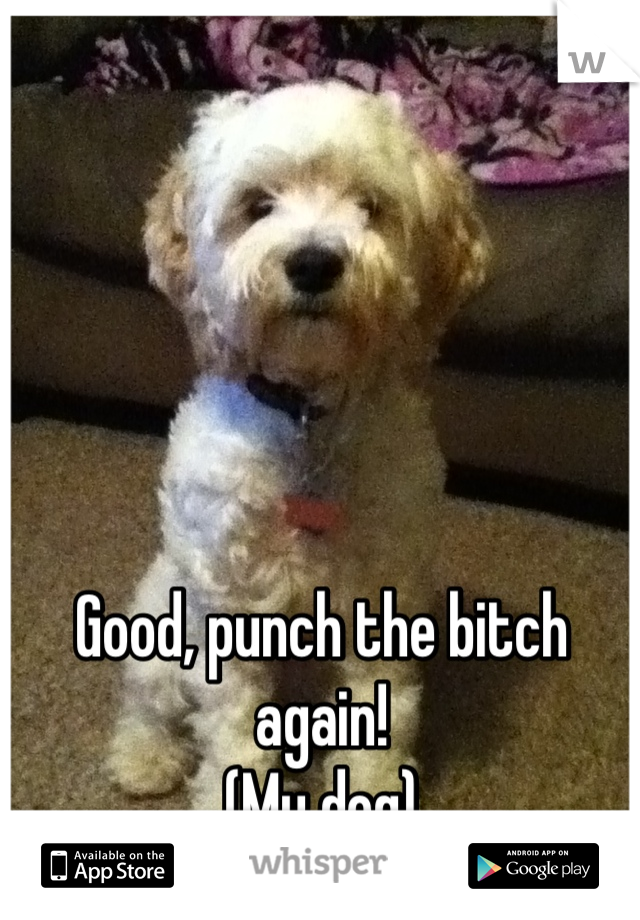 Good, punch the bitch again!
(My dog)