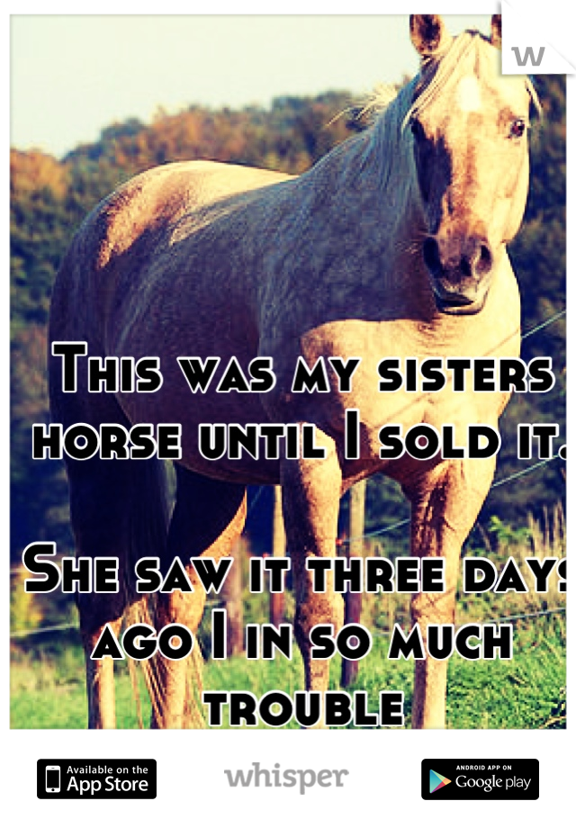 This was my sisters horse until I sold it. 

She saw it three days ago I in so much trouble
