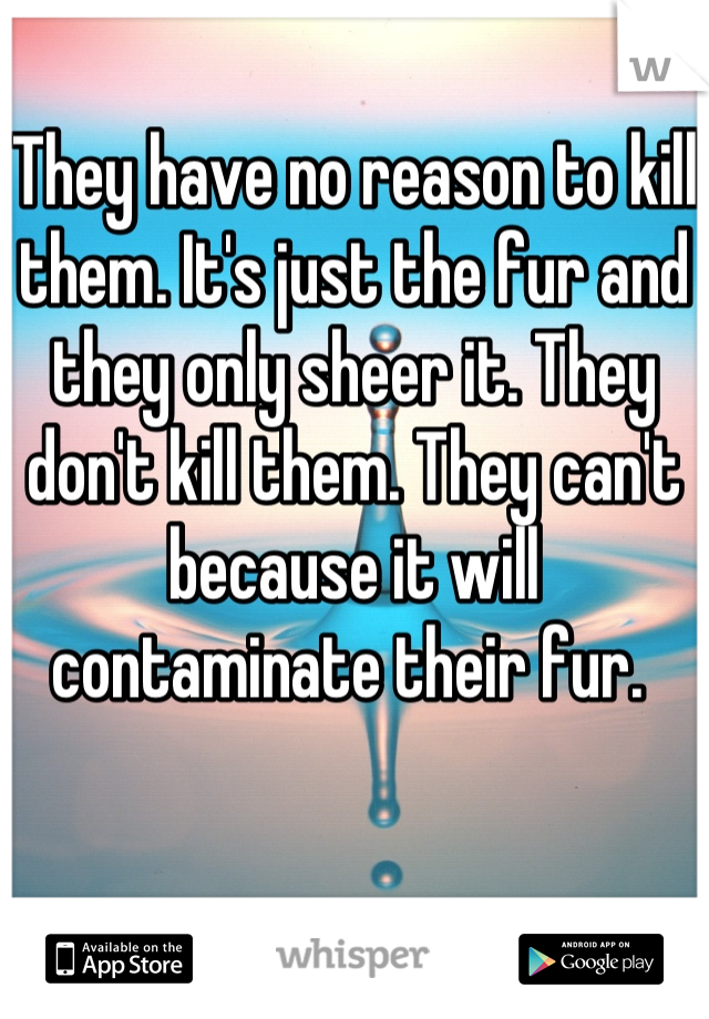 They have no reason to kill them. It's just the fur and they only sheer it. They don't kill them. They can't because it will contaminate their fur. 