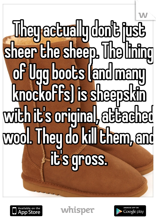 They actually don't just sheer the sheep. The lining of Ugg boots (and many knockoffs) is sheepskin with it's original, attached wool. They do kill them, and it's gross. 