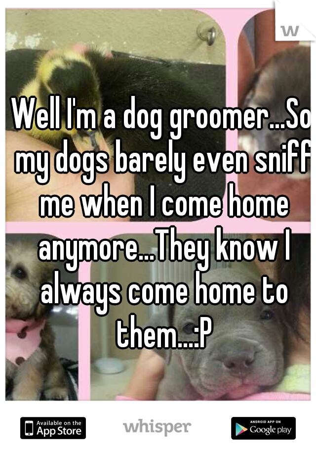 Well I'm a dog groomer...So my dogs barely even sniff me when I come home anymore...They know I always come home to them...:P