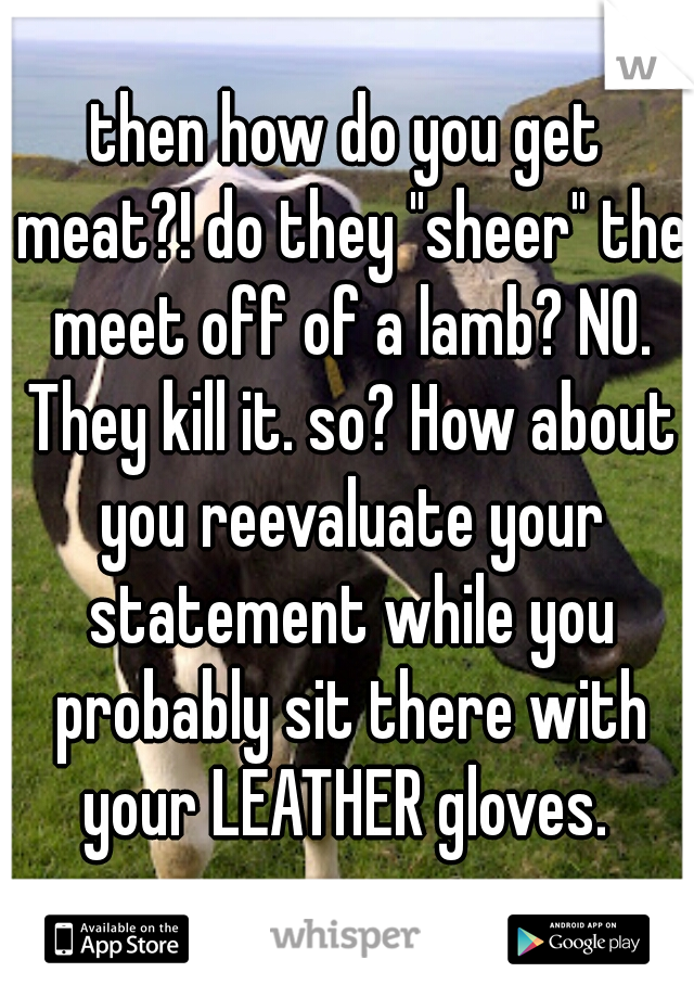 then how do you get meat?! do they "sheer" the meet off of a lamb? NO. They kill it. so? How about you reevaluate your statement while you probably sit there with your LEATHER gloves. 