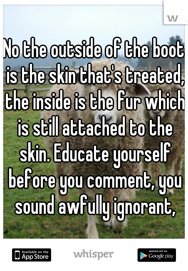 No the outside of the boot is the skin that's treated, the inside is the fur which is still attached to the skin. Educate yourself before you comment, you sound awfully ignorant,