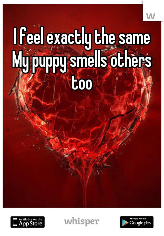 I feel exactly the same
My puppy smells others too
