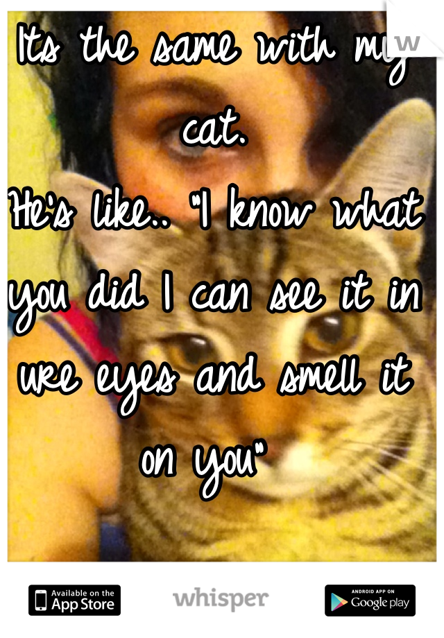 Its the same with my cat.
He's like.. "I know what you did I can see it in ure eyes and smell it on you" 