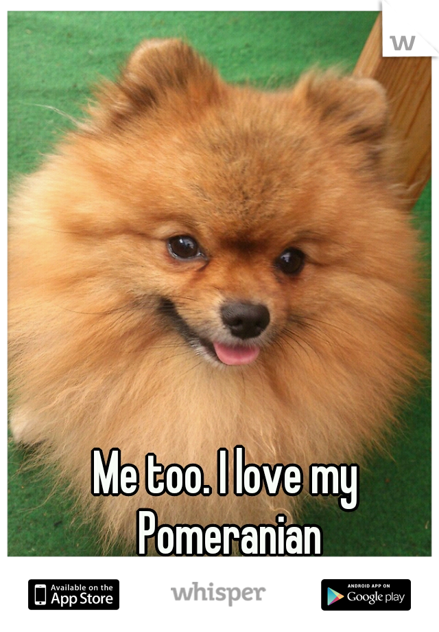 Me too. I love my Pomeranian