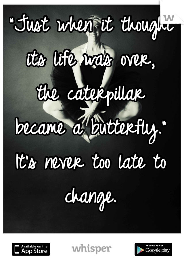 "Just when it thought 
its life was over, 
the caterpillar 
became a butterfly."
It's never too late to change.