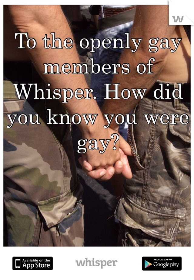 To the openly gay members of Whisper. How did you know you were gay? 