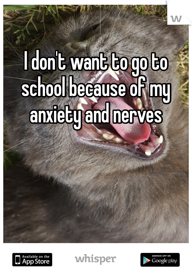 I don't want to go to school because of my anxiety and nerves