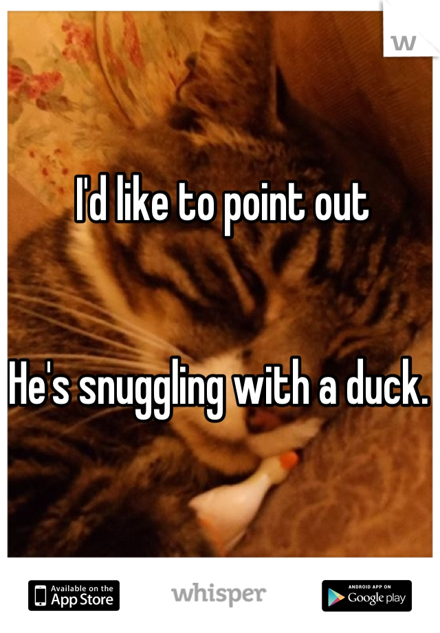 I'd like to point out


He's snuggling with a duck. 