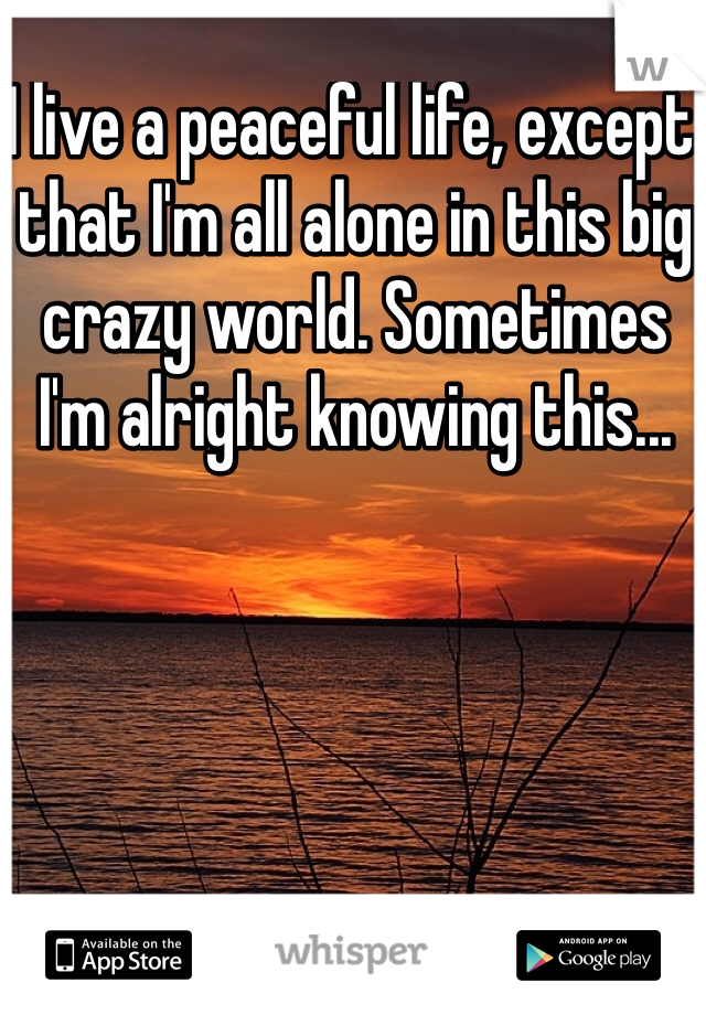 I live a peaceful life, except that I'm all alone in this big crazy world. Sometimes I'm alright knowing this...