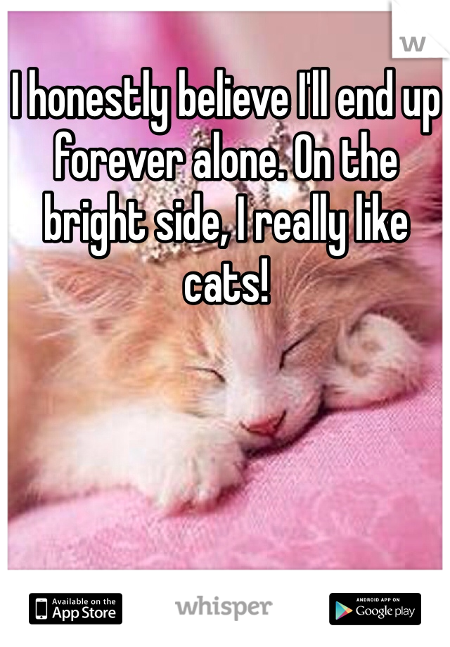 I honestly believe I'll end up forever alone. On the bright side, I really like cats!