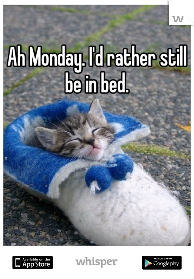 Ah Monday. I'd rather still be in bed. 