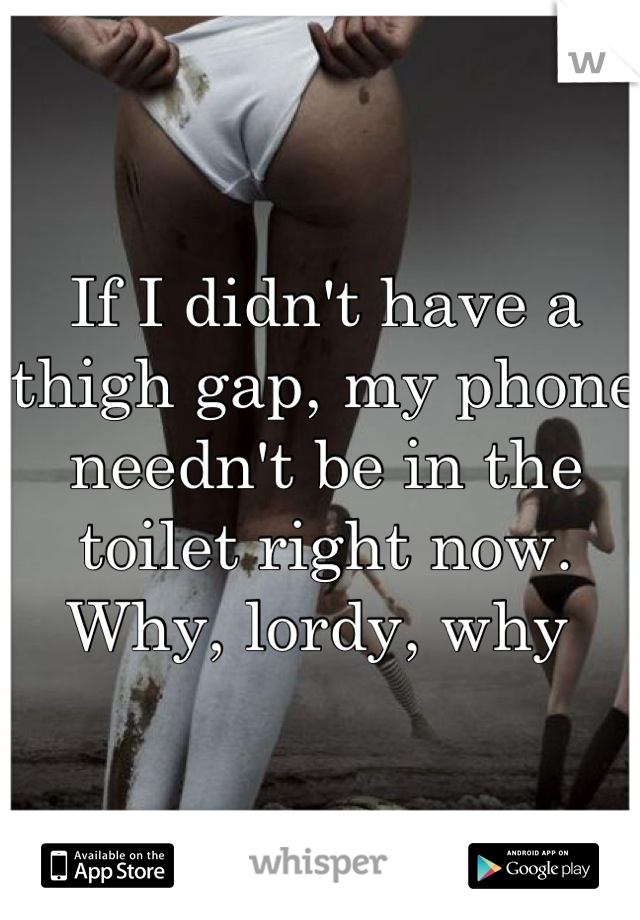 If I didn't have a thigh gap, my phone needn't be in the toilet right now. Why, lordy, why 