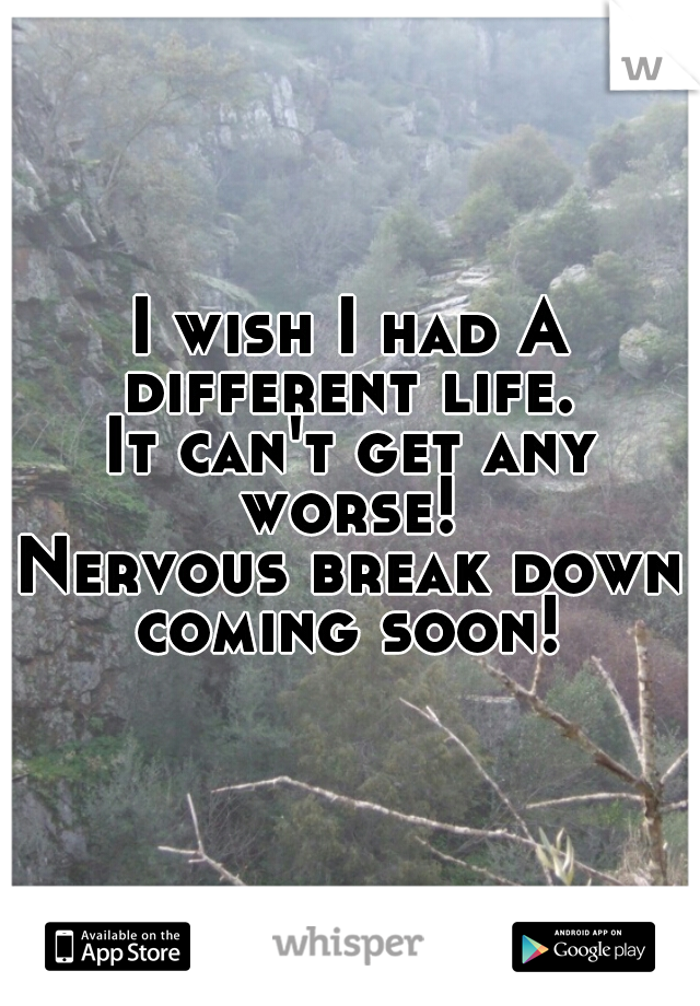I wish I had A different life. 

It can't get any worse! 

Nervous break down coming soon! 