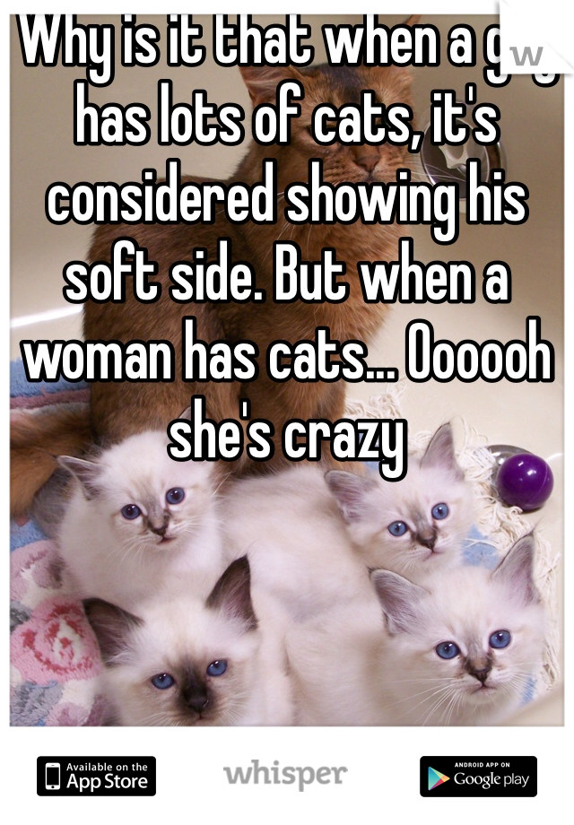 Why is it that when a guy has lots of cats, it's considered showing his soft side. But when a woman has cats... Oooooh she's crazy